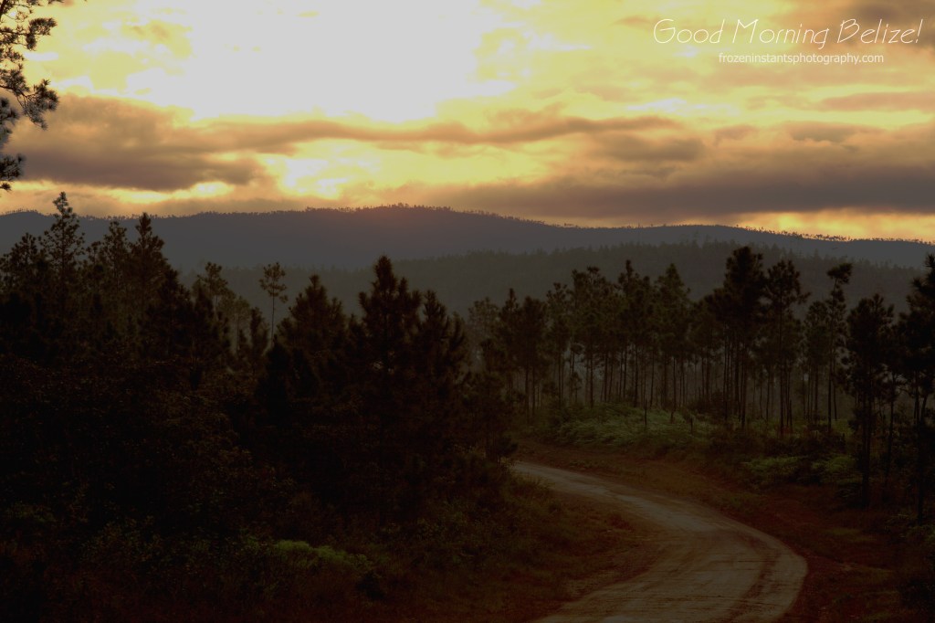 Early morning Mountain Pine Ridge road